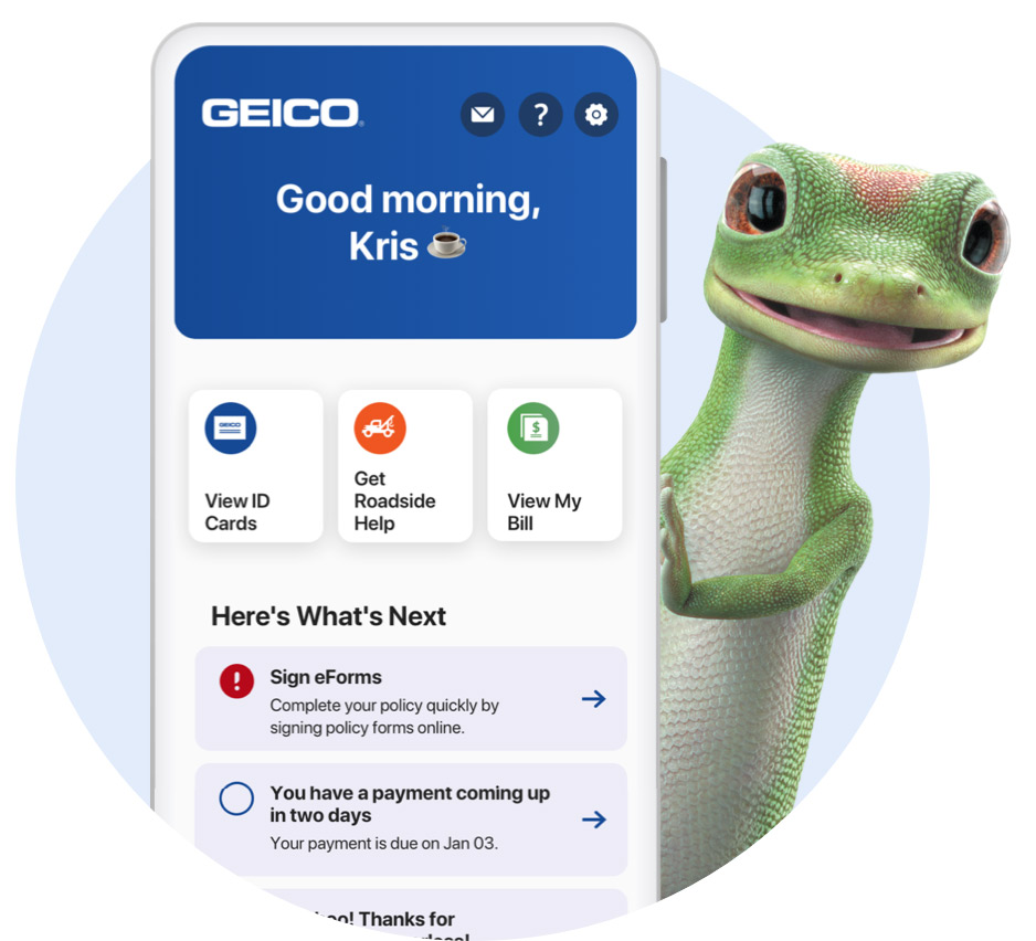 Geico car insurance